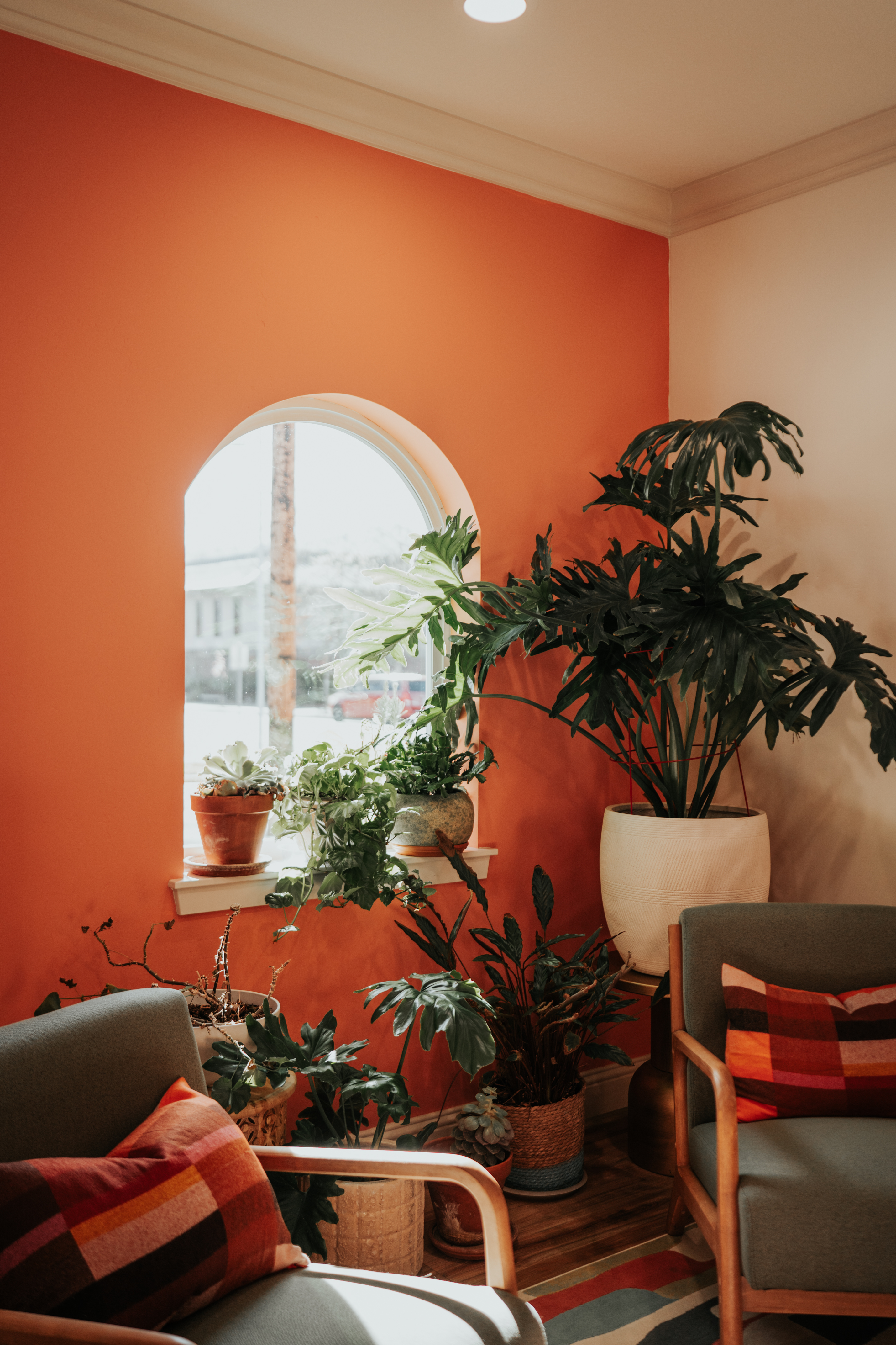 Acoustic panels and layered lighting in a therapy room